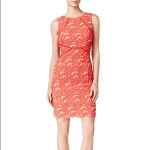 Ivanka Trump Coral Lace Overlay Dress